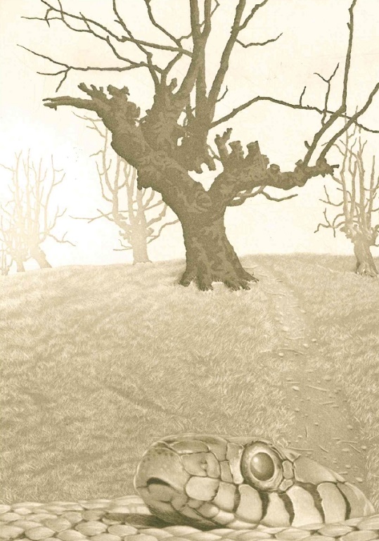 Wolf von Niebelschütz. Baskische Küste. [Erstdruck]