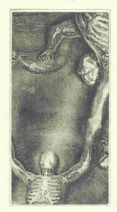 Ernst Jünger. Nervengeflechte.