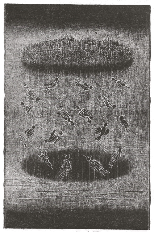 Maurice de Guérin. Der Seele Wiedererwachen. [Erstdruck]