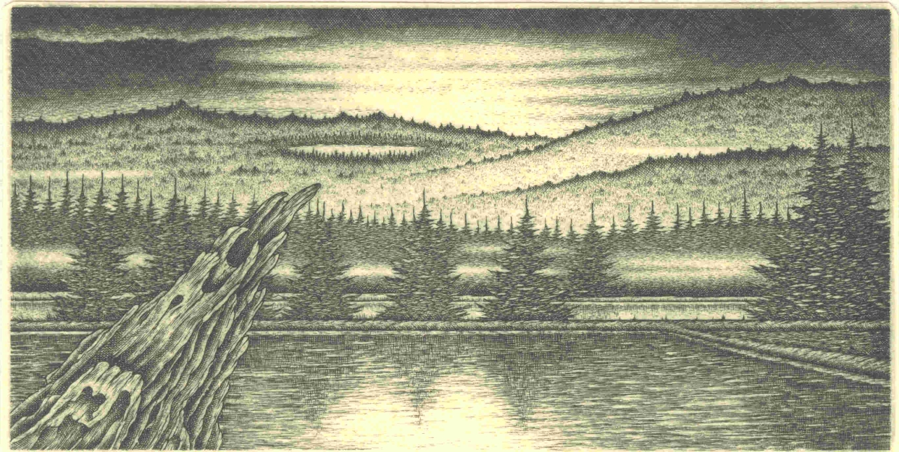 Ludwig Tieck. Die Reise zum Fichtelberg.